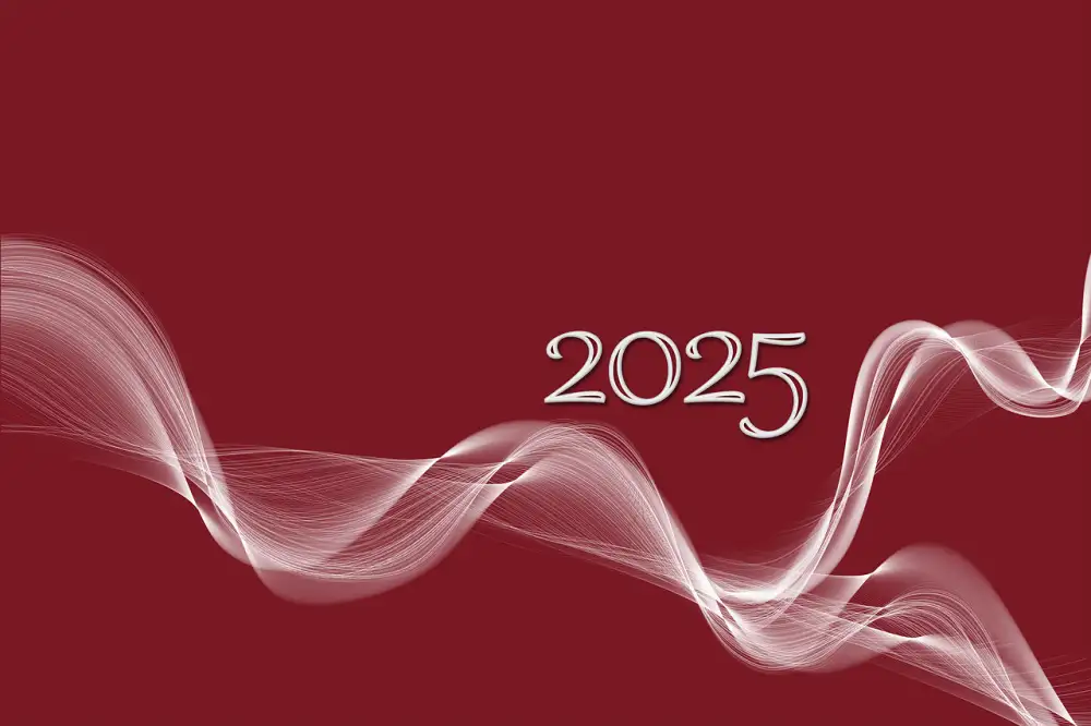 Vdovský Důchod 2025